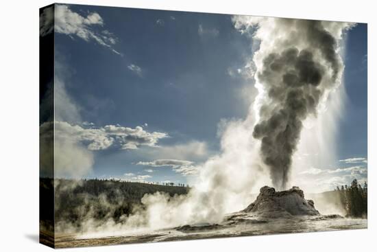 Castle Geyser erupting, Upper Geyser Basin, Yellowstone National Park, Wyoming-Adam Jones-Premier Image Canvas