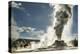 Castle Geyser erupting, Upper Geyser Basin, Yellowstone National Park, Wyoming-Adam Jones-Premier Image Canvas