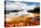 Castle Geyser Yellowstone Park-null-Stretched Canvas