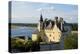 Castle of Montsoreau, dated 15th century, along the Loire River, UNESCO World Heritage Site, Anjou,-Nathalie Cuvelier-Premier Image Canvas
