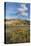 Castle Reef Mountain. Rocky Mountain front ranges near Augusta, Montana.-Alan Majchrowicz-Premier Image Canvas