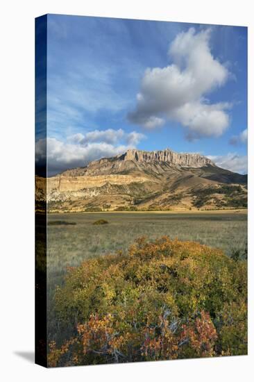 Castle Reef Mountain. Rocky Mountain front ranges near Augusta, Montana.-Alan Majchrowicz-Premier Image Canvas