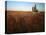 Castle Rock, Gove County, Kansas, USA-Charles Gurche-Premier Image Canvas