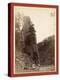 Castle Rock. Scenery on Road Between Hill City and Rockerville, Dak-John C. H. Grabill-Premier Image Canvas