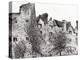 Castle Ruins at Hay on Wye, 2007-Vincent Alexander Booth-Premier Image Canvas