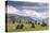 Castlerigg Stone Circle, near Keswick, Lake District National Park, Cumbria, England, United Kingdo-John Potter-Premier Image Canvas