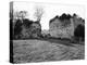Castles-Western Mail-Premier Image Canvas
