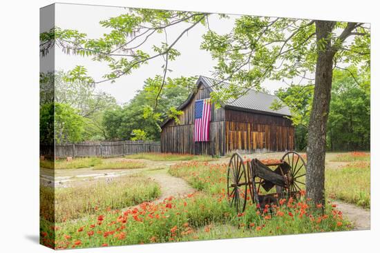 Castroville, Texas, USA.  Large American flag on a barn in the Texas Hill Country.-Emily Wilson-Premier Image Canvas