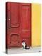 Cat and Colorful Doorway, Valparaiso, Chile-Scott T. Smith-Premier Image Canvas