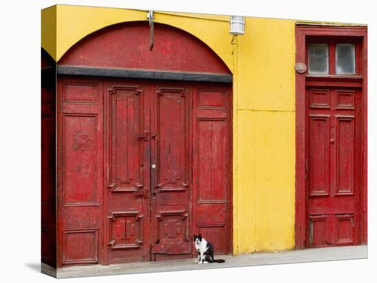 Cat and Colorful Doorways, Valparaiso, Chile-Scott T. Smith-Premier Image Canvas