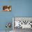 Cat And Dog, Kitten And Puppy-Lilun-Premier Image Canvas displayed on a wall