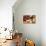 Cat And Dog, Kitten And Puppy-Lilun-Premier Image Canvas displayed on a wall