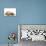 Cat and Dog Labrador Puppy and Norwegian Forest Cat Kitten-null-Premier Image Canvas displayed on a wall