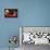 Cat And Dog Taking Over Santa'S Cookies And Milk-websubstance-Premier Image Canvas displayed on a wall