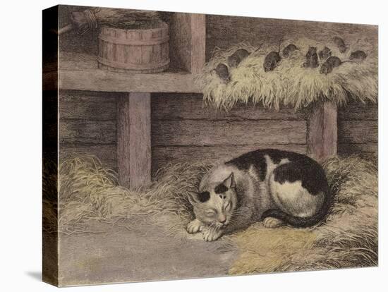Cat and Mice in a Barn-null-Premier Image Canvas