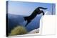 Cat- Black, Jumping Off Wall-null-Premier Image Canvas