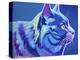 Cat - Blue Boy-Dawgart-Premier Image Canvas