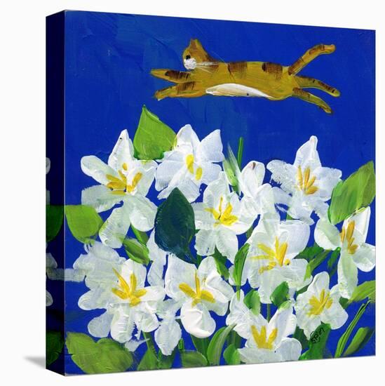 Cat Flying Over Flowers-sylvia pimental-Stretched Canvas