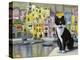 Cat in Corricella, Italy-Isy Ochoa-Premier Image Canvas