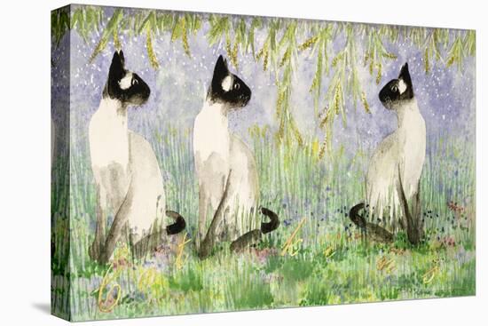 Cat Kins-Suzi Kennett-Premier Image Canvas