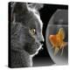 Cat Looks at Goldfish in Bowl-null-Premier Image Canvas