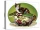 Cat N Cup Calico-Atelier Sommerland-Stretched Canvas