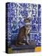 Cat of Portugal (Chat Du Portugal)-Isy Ochoa-Premier Image Canvas