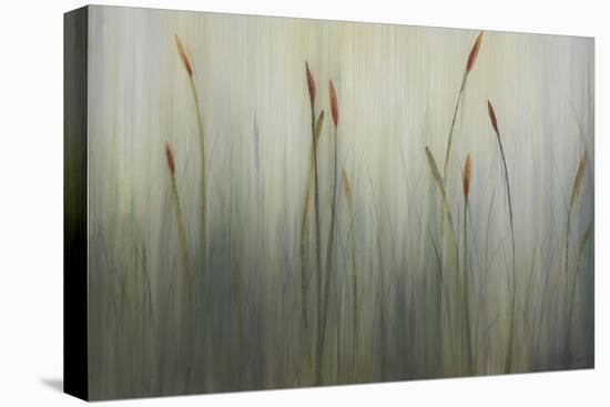 Cat of Seven Tails-Kari Taylor-Premier Image Canvas