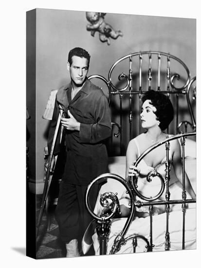 Cat on a Hot Tin Roof, 1958-null-Premier Image Canvas