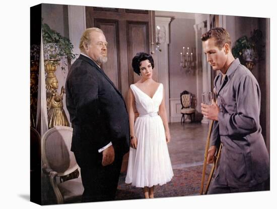 Cat on a Hot Tin Roof, Burl Ives, Elizabeth Taylor, Paul Newman, 1958-null-Stretched Canvas