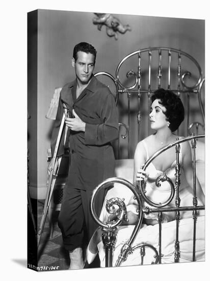 Cat on a Hot Tin Roof, Paul Newman, Elizabeth Taylor, 1958-null-Stretched Canvas