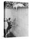 Cat Owned by Olympic Track Star Harold Connolly, on Wall Hissing at Police German Shepherd-Bill Eppridge-Premier Image Canvas