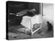 Cat Pays Final Respects-null-Premier Image Canvas