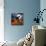 Cat Pillow-Debbi Wetzel-Premier Image Canvas displayed on a wall