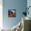Cat Pillow-Debbi Wetzel-Premier Image Canvas displayed on a wall