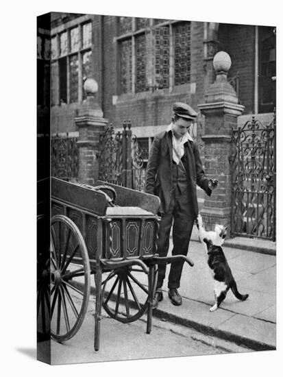 Cat's Meat Man, London, 1926-1927-McLeish-Premier Image Canvas