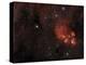 Cat's Paw Nebula in Scorpius-null-Premier Image Canvas