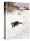 Cat Stalking over Snow, 1884-Bruno Andreas Liljefors-Premier Image Canvas