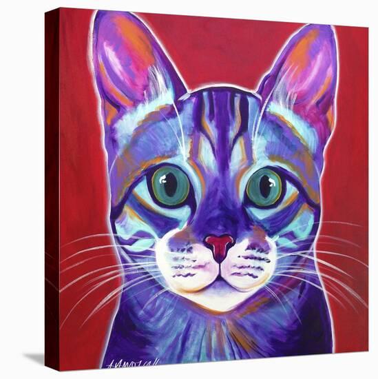 Cat - Surprise-Dawgart-Premier Image Canvas