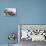 Cat Tea Merchants-Thomas Allom-Stretched Canvas displayed on a wall
