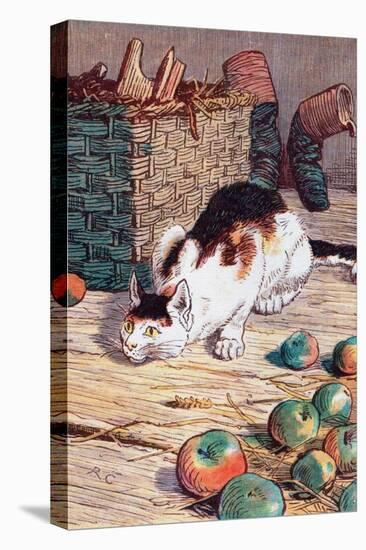 Cat with Apples-Randolph Caldecott-Stretched Canvas