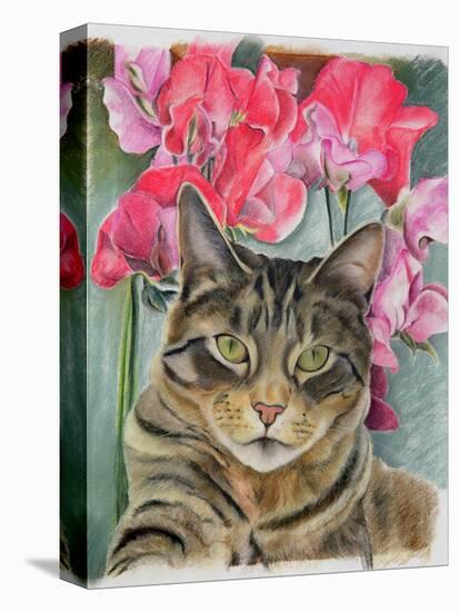 Cat with Sweet Peas-Anne Robinson-Premier Image Canvas