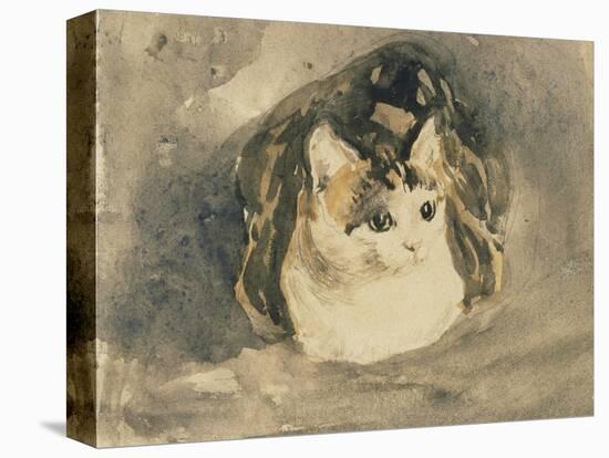 Cat-Gwen John-Premier Image Canvas