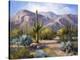 Catalina Mountain Foothills-Maxine Johnston-Stretched Canvas