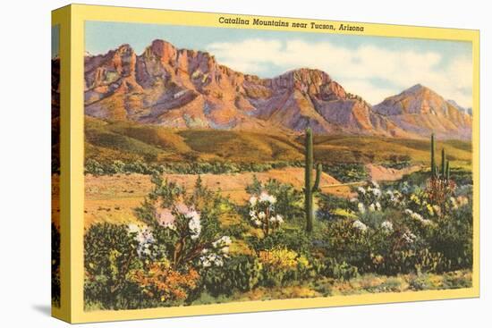 Catalina Mountains, Tucson, Arizona-null-Stretched Canvas