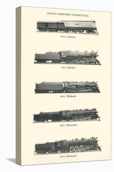 Catalog of Steam Passenger Trains-null-Stretched Canvas