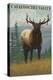 Cataloochee Valley, North Carolina - Elk Scene-Lantern Press-Stretched Canvas