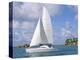 Catamaran, Island of Praslin, Seychelles, Indian Ocean, Africa-Bruno Barbier-Premier Image Canvas