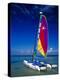 Catamarans, Florida Keys, Florida, USA-Terry Eggers-Premier Image Canvas