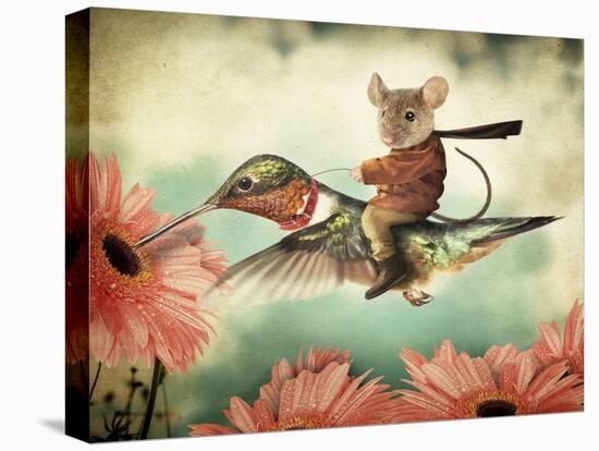 Catching A Ride On A Hummingbird's Back-J Hovenstine Studios-Premier Image Canvas